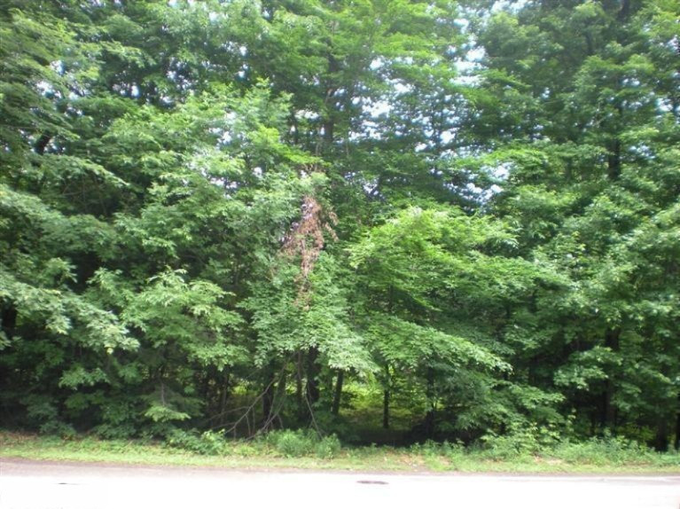 19177 Rosemary Road Spring Lake, MI 49456 - Photo 2 of 14 Additional Photo