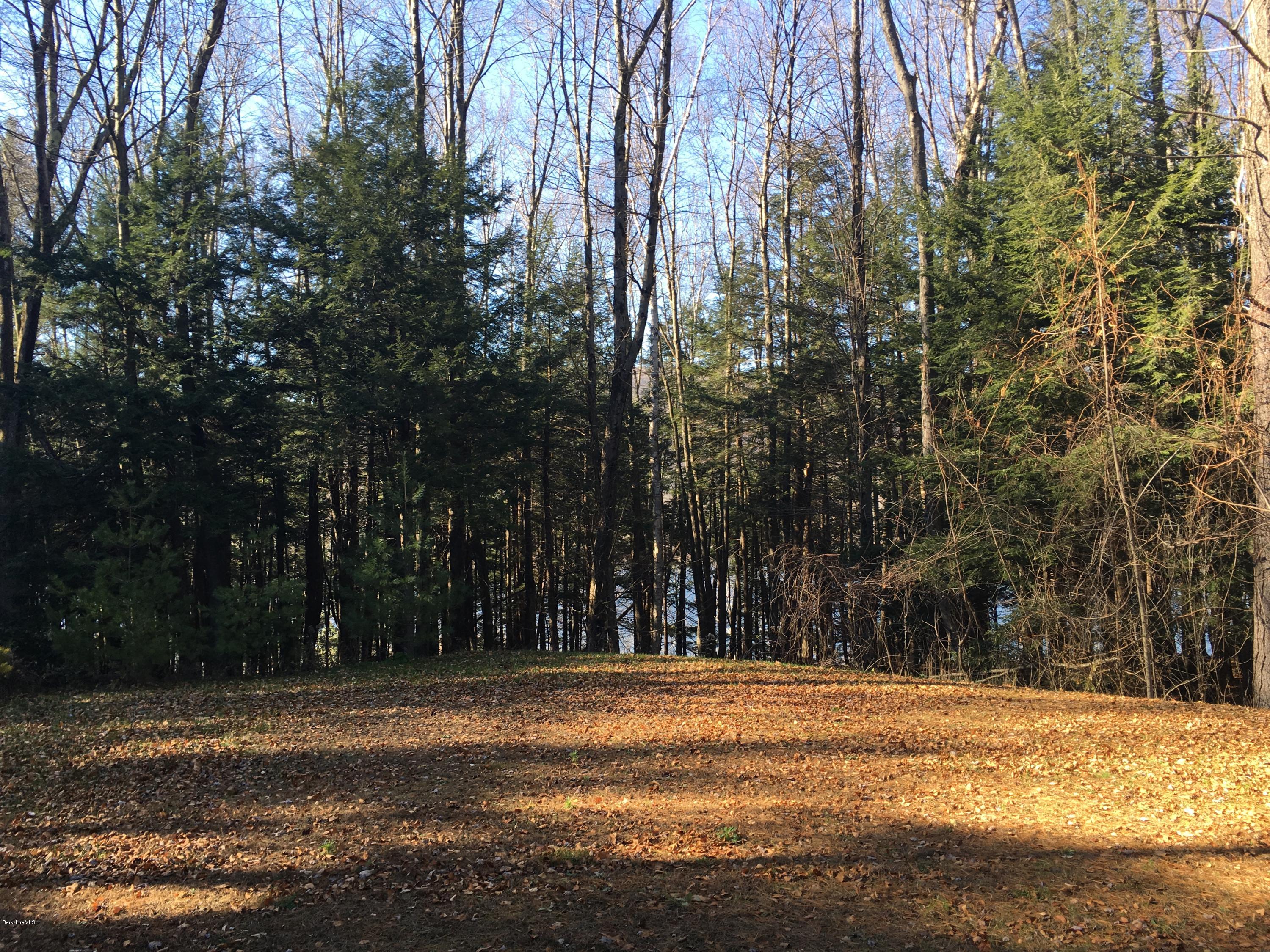 262 Ingalls Road Cheshire, MA 01225 - Photo 19 of 20 IMG_2974