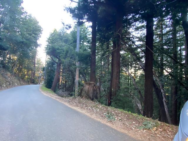 0 Swett Road Woodside, CA 94062 - Photo 1 of 1 a view of a forest that has large trees