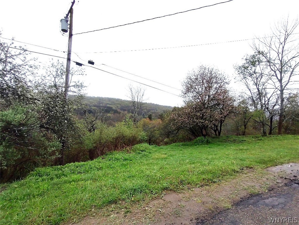 Bozard Hill Road Great Valley, NY 14741 - Photo 2 of 8