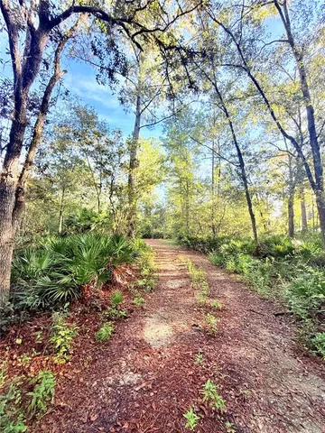 a view of a yard with plants and trees