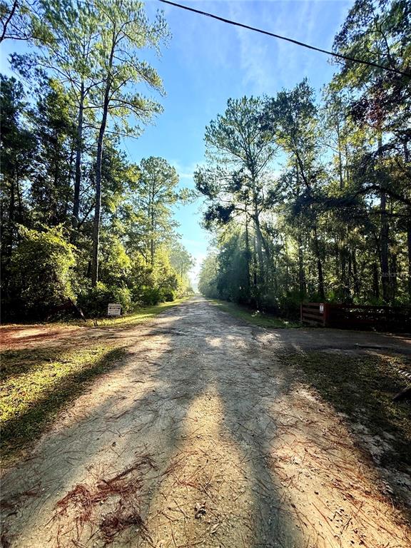 7324 Northwest 152nd Place Alachua, FL 32615 - Photo 13 of 44 a view of a yard with plants and trees