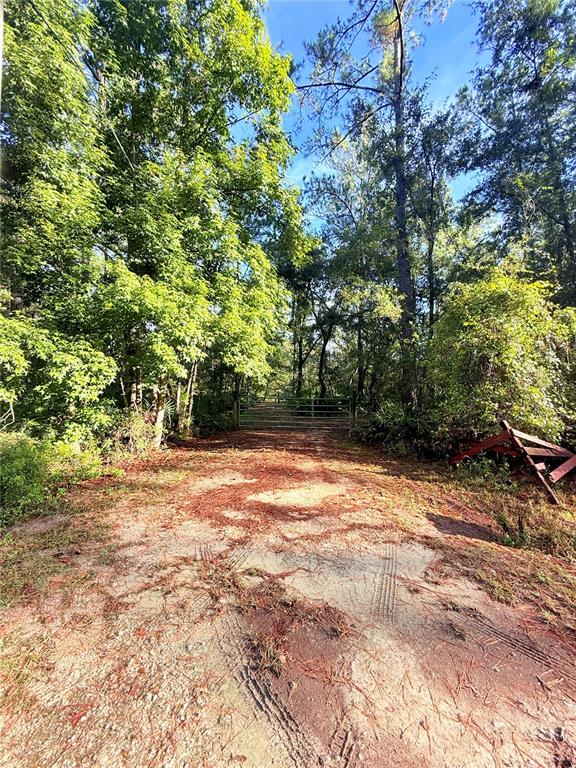 7324 Northwest 152nd Place Alachua, FL 32615 - Photo 15 of 44 a view of a yard with a tree