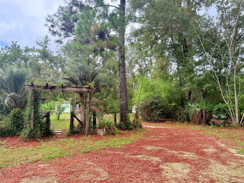7324 Northwest 152nd Place Alachua, FL 32615 - Photo 18 of 44 a view of a park with large trees