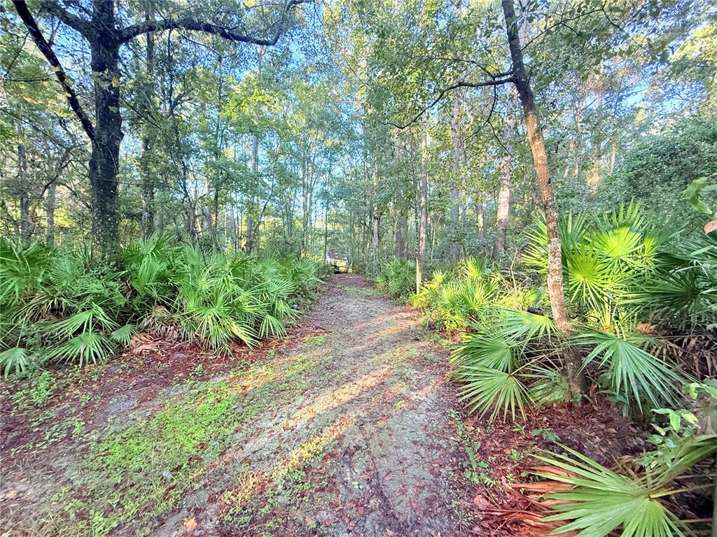 7324 Northwest 152nd Place Alachua, FL 32615 - Photo 2 of 44 a backyard of a house with lots of green space and outdoor seating