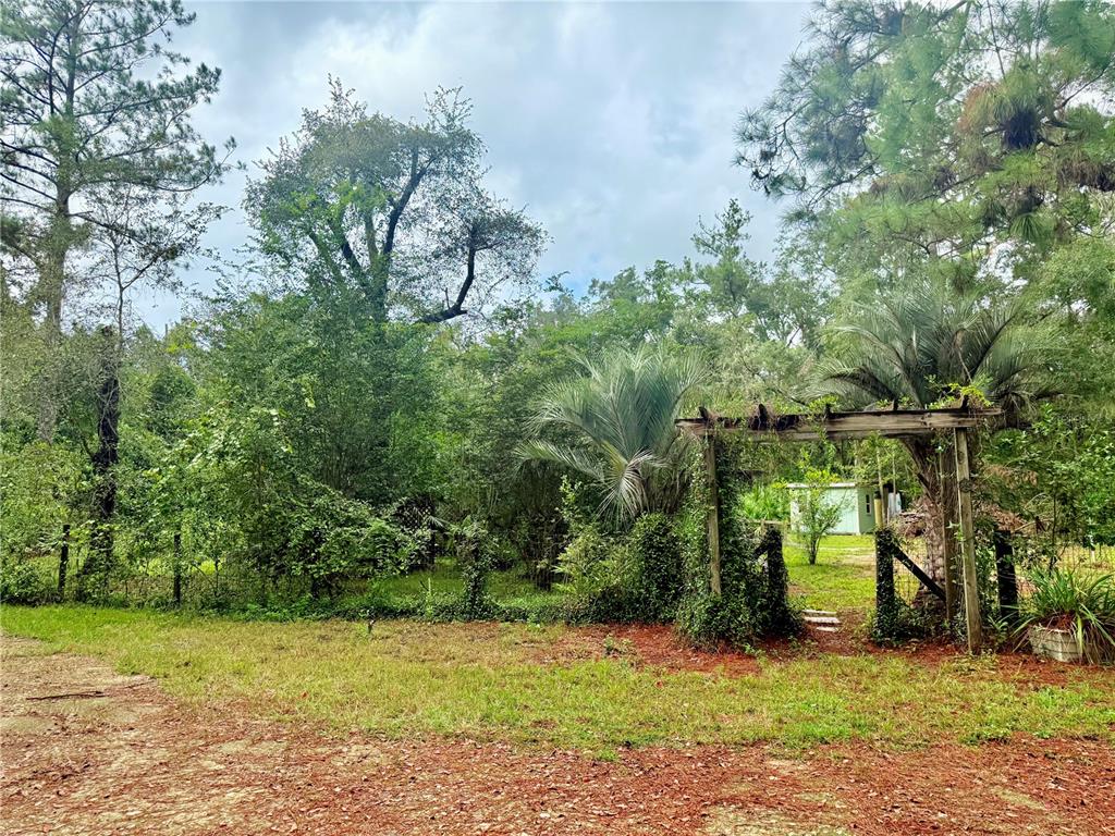 7324 Northwest 152nd Place Alachua, FL 32615 - Photo 21 of 44 a green field with lots of trees in the background