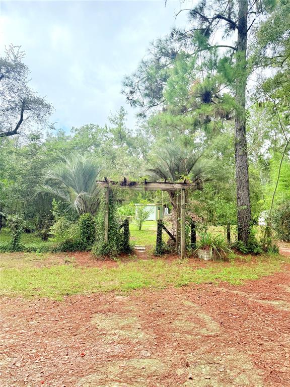 7324 Northwest 152nd Place Alachua, FL 32615 - Photo 23 of 44 a view of a yard with a house