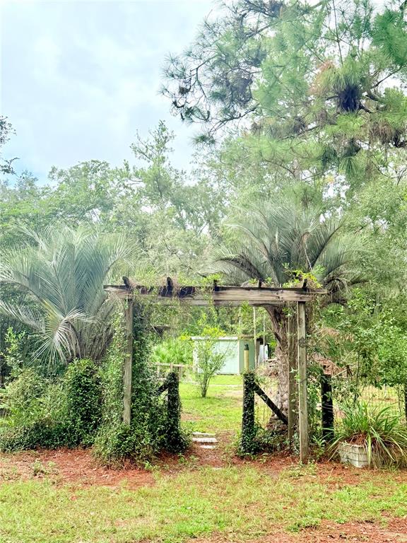 7324 Northwest 152nd Place Alachua, FL 32615 - Photo 24 of 44 a view of a yard with plants and large trees