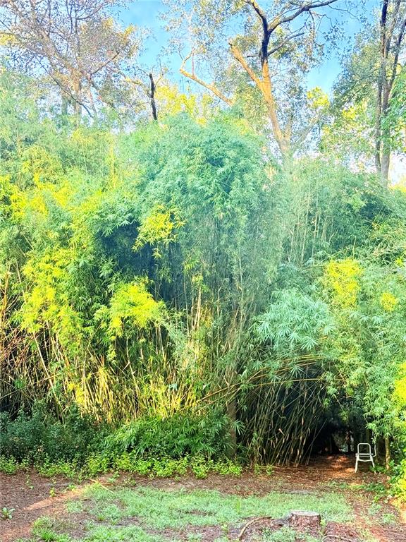 7324 Northwest 152nd Place Alachua, FL 32615 - Photo 5 of 44 a backyard of a house with lots of green space