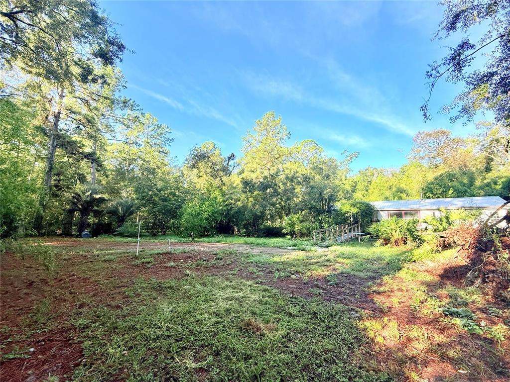 7324 Northwest 152nd Place Alachua, FL 32615 - Photo 7 of 44 a view of grassy field with trees