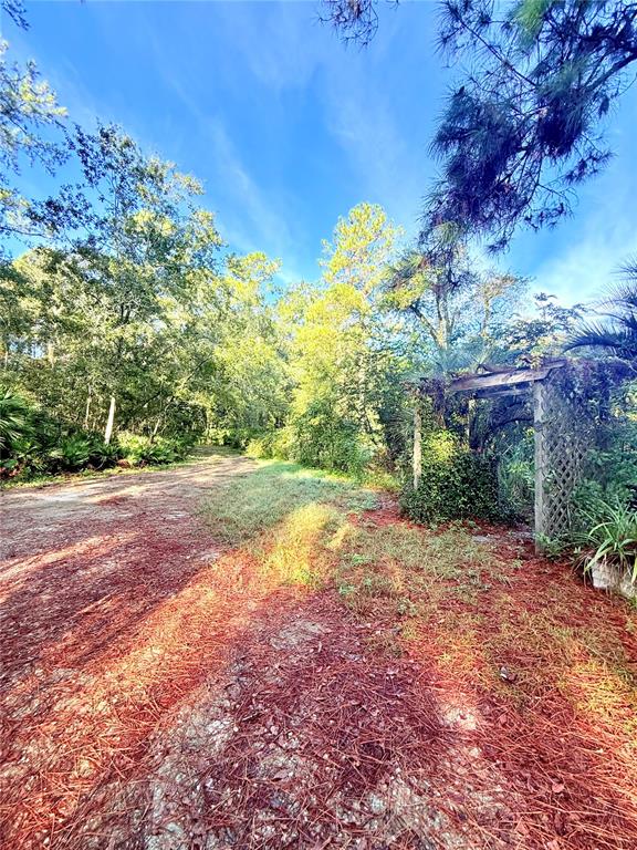 7324 Northwest 152nd Place Alachua, FL 32615 - Photo 9 of 44 a view of a yard with a tree