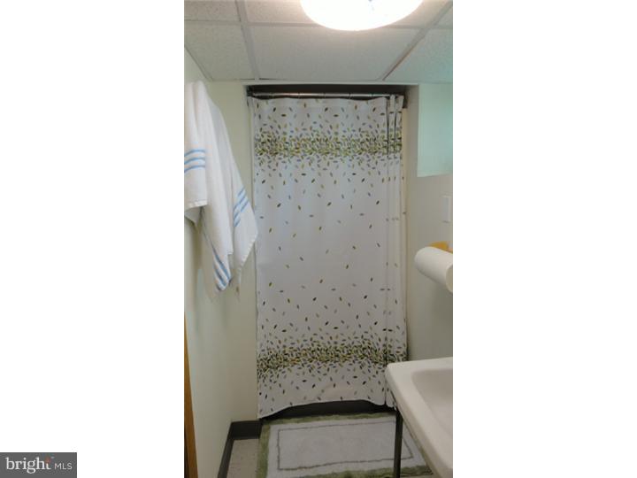 201 North Manoa Road Havertown, PA 19083 - Photo 25 of 25 Bathroom