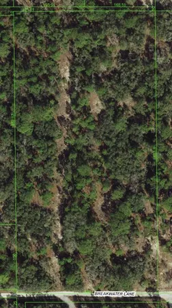 a view of a forest
