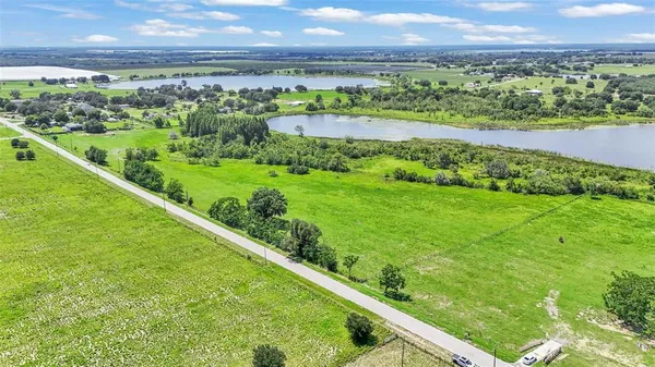 a view of a big yard with plants and large trees
