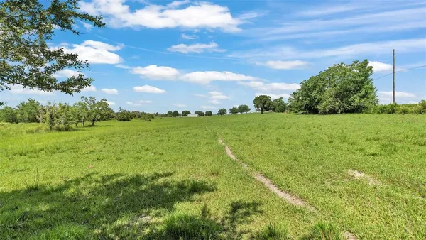 a view of a grassy field with trees