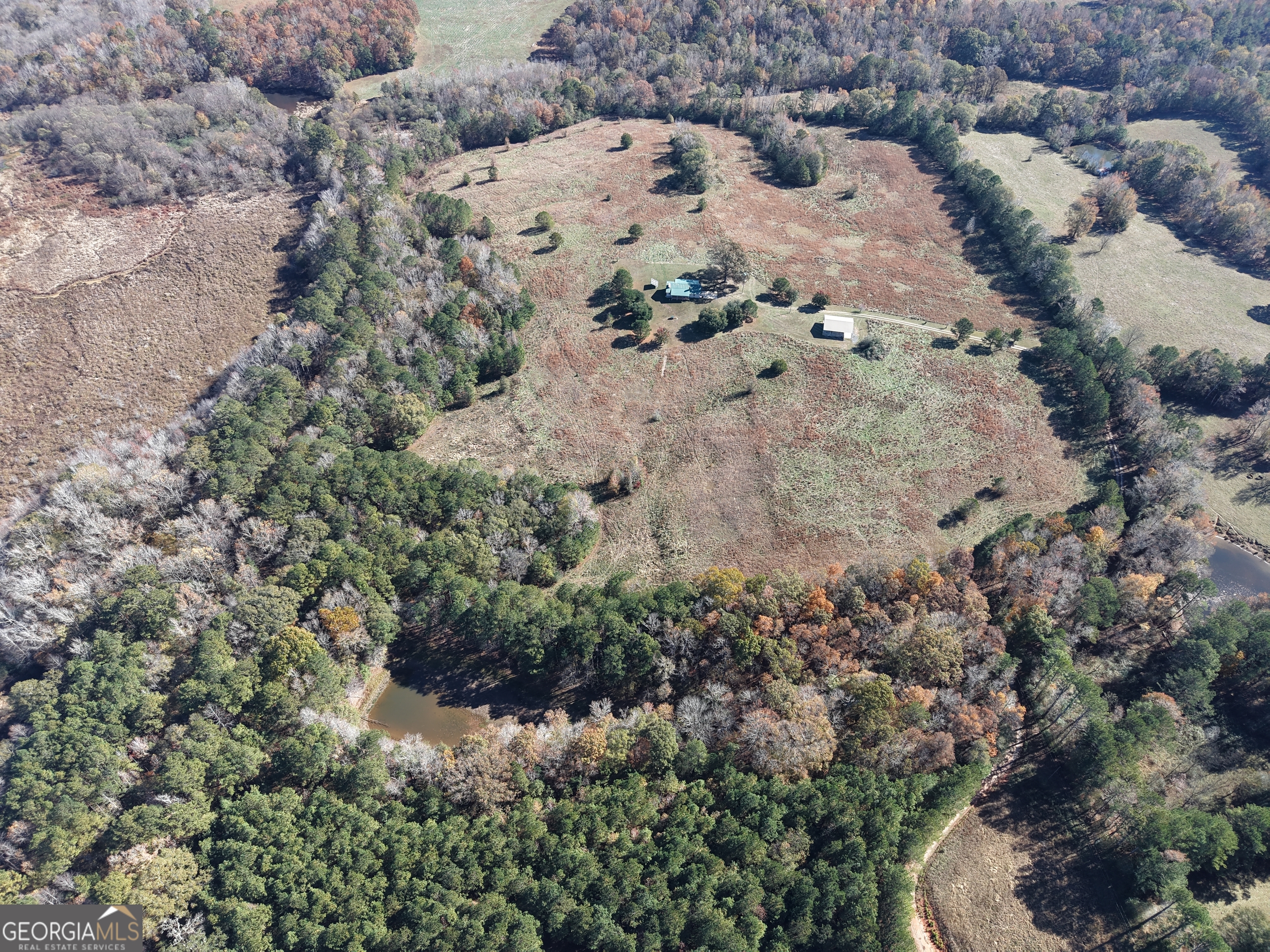 501 Raleigh Road Woodbury, GA 30293 - Photo 4 of 94