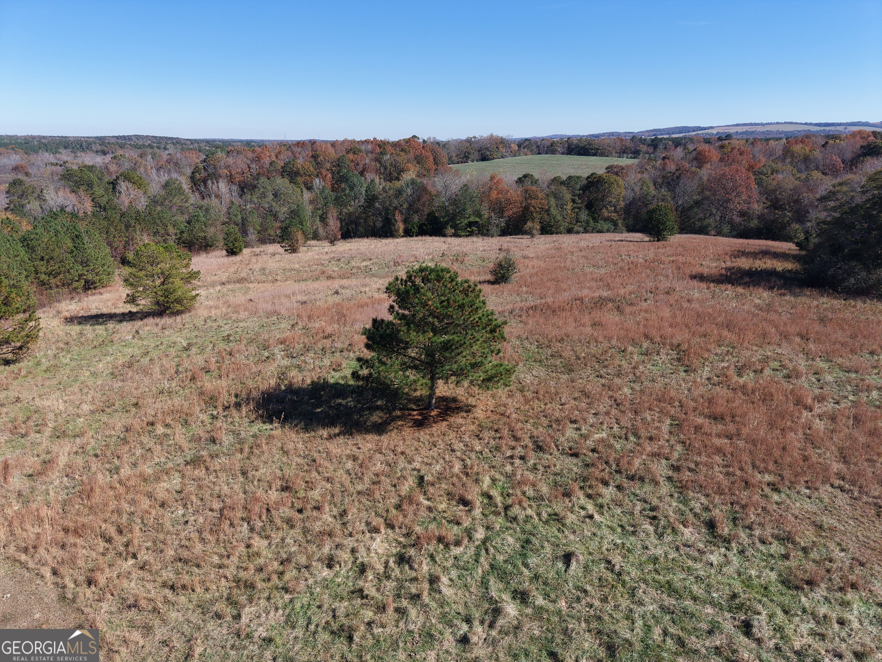 501 Raleigh Road Woodbury, GA 30293 - Photo 43 of 94