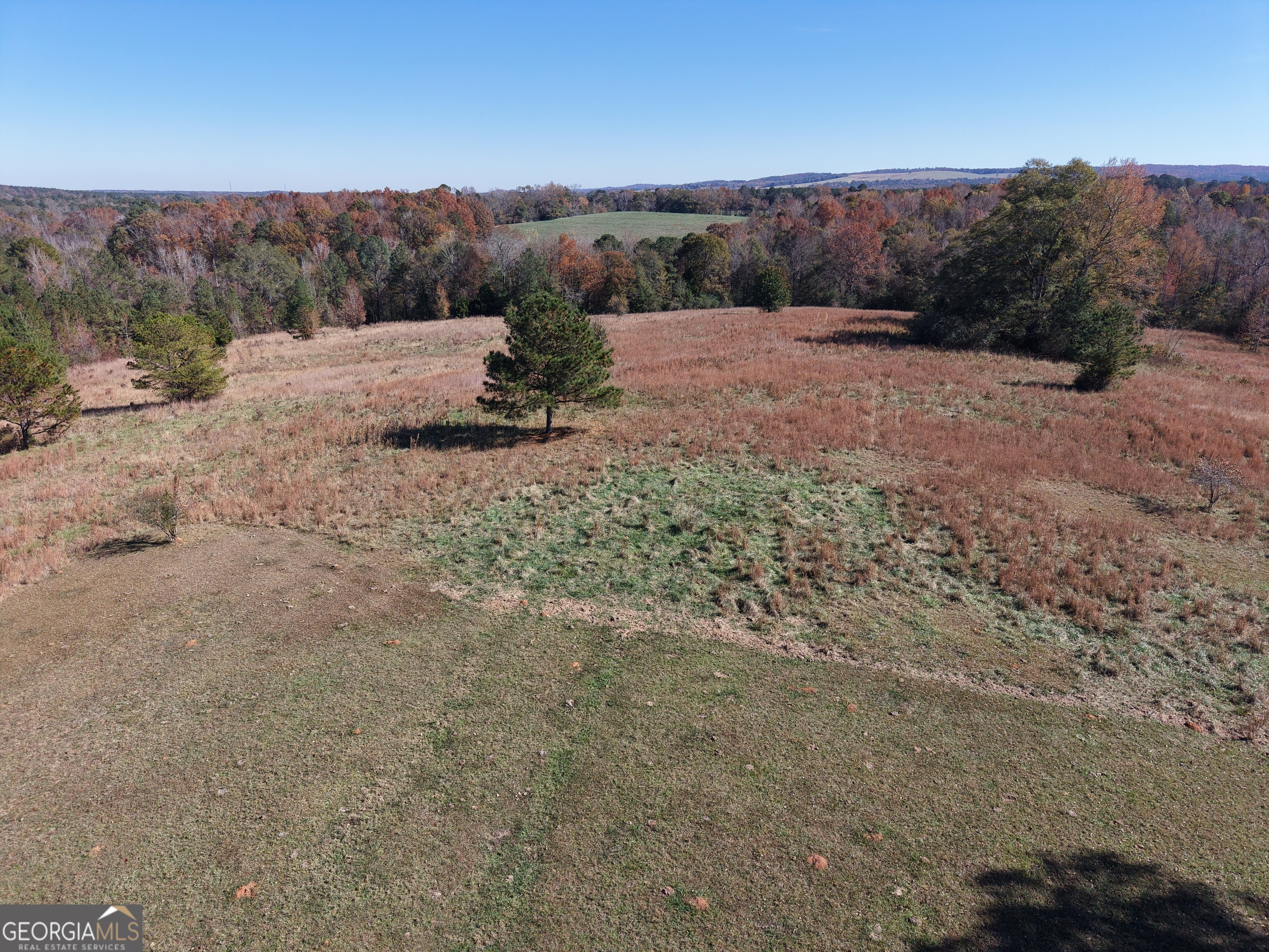 501 Raleigh Road Woodbury, GA 30293 - Photo 44 of 94