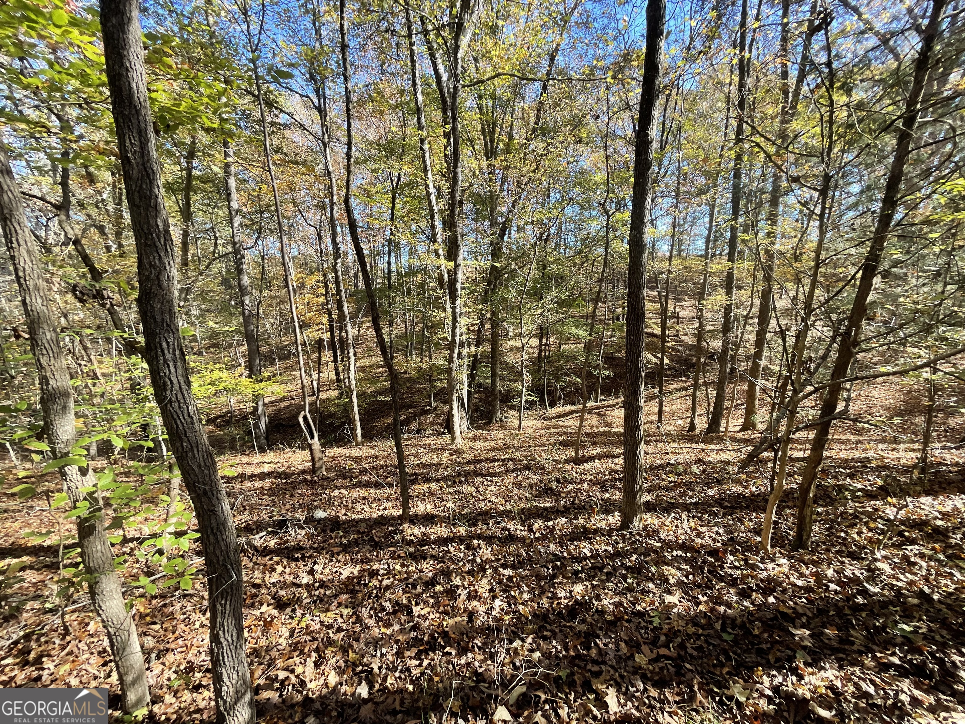 501 Raleigh Road Woodbury, GA 30293 - Photo 50 of 94