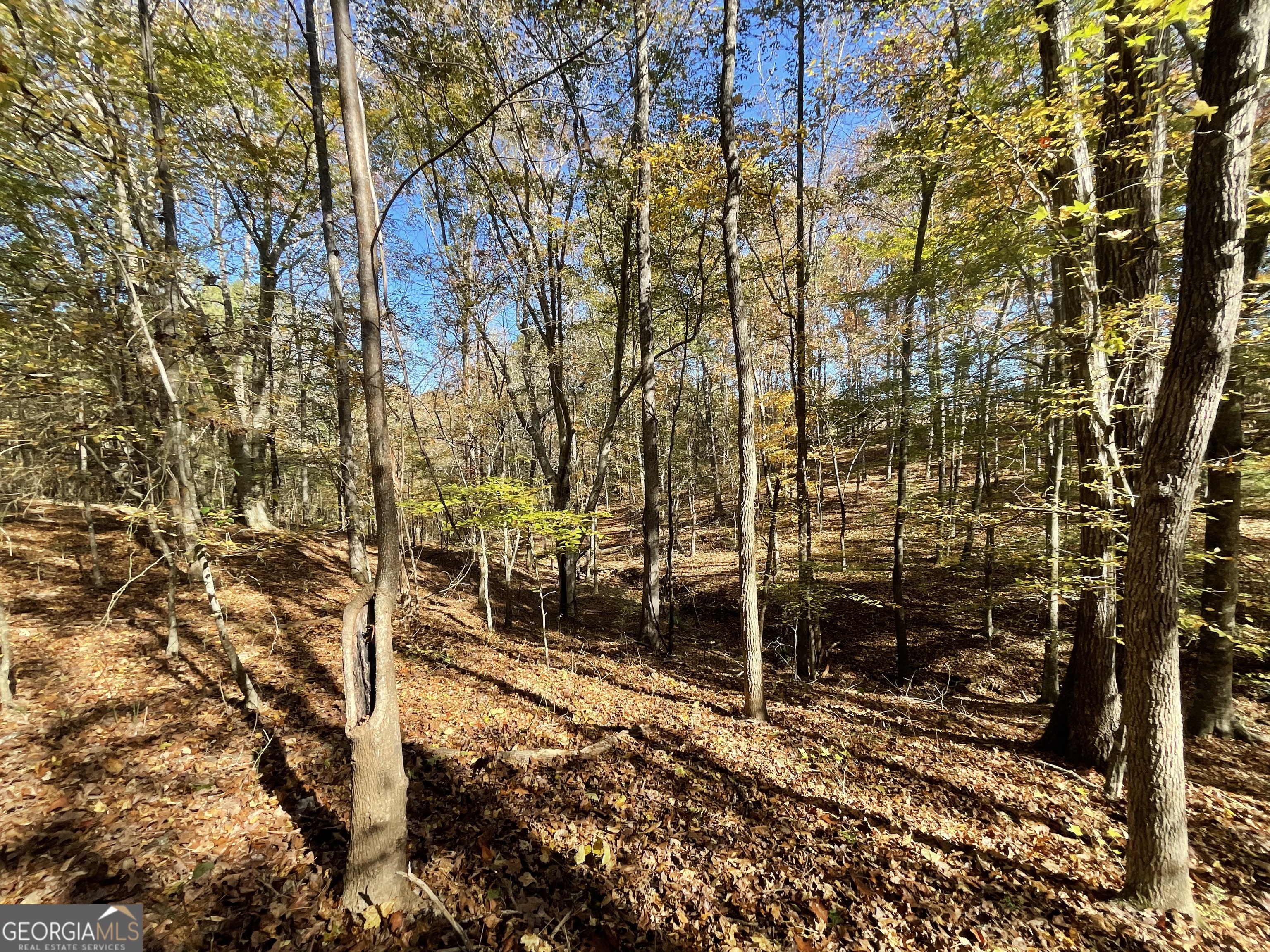 501 Raleigh Road Woodbury, GA 30293 - Photo 51 of 94