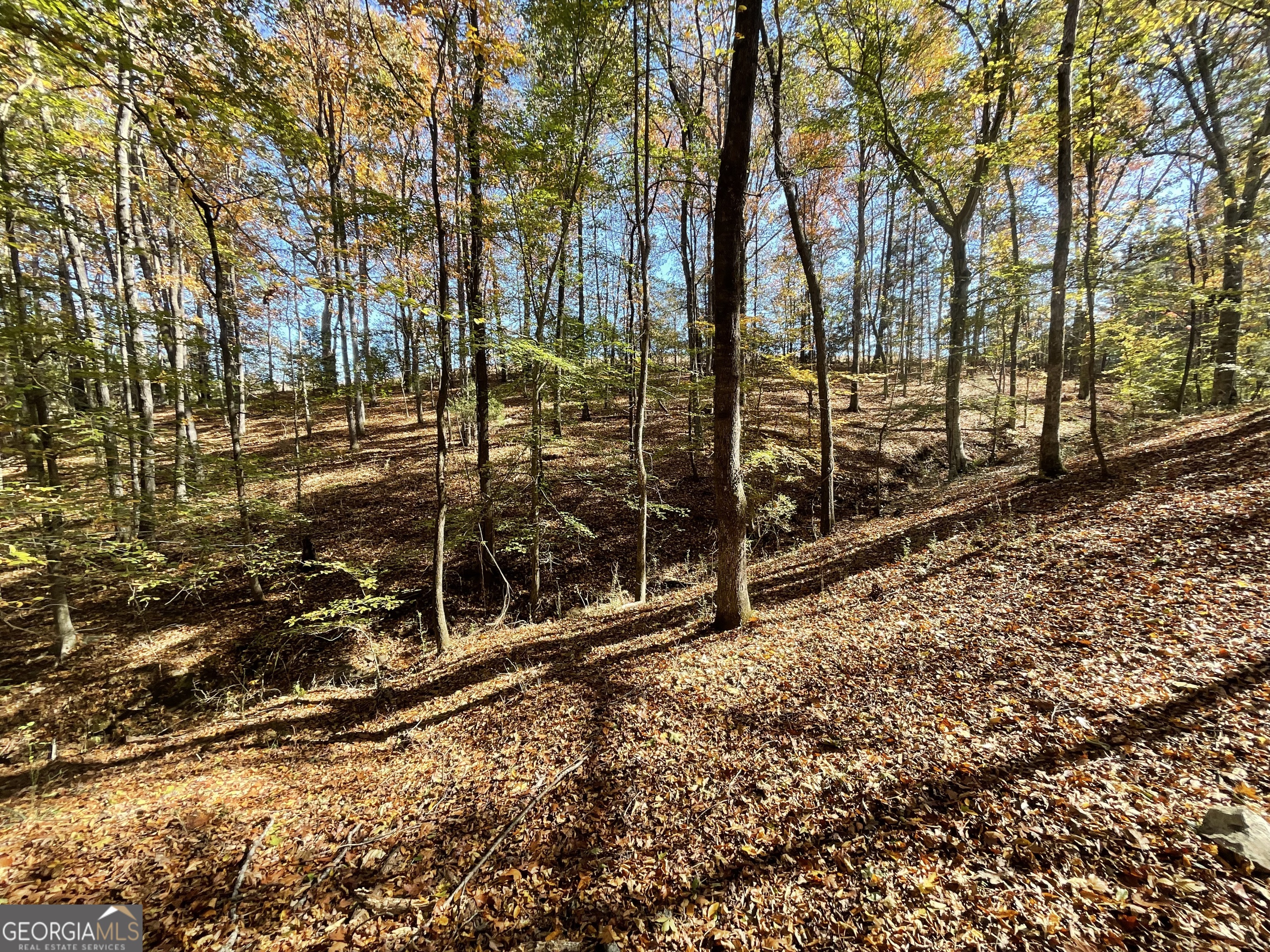 501 Raleigh Road Woodbury, GA 30293 - Photo 52 of 94