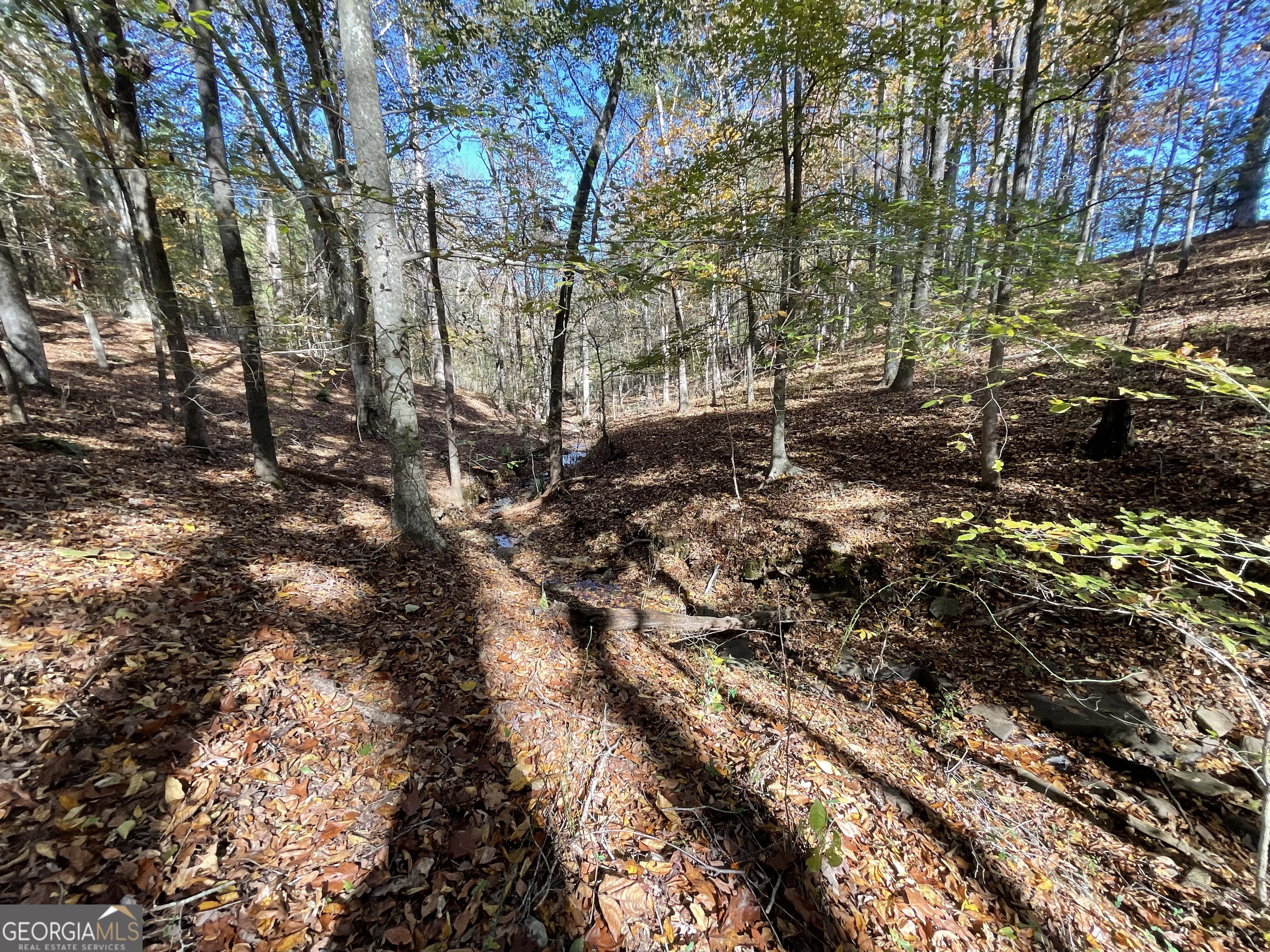 501 Raleigh Road Woodbury, GA 30293 - Photo 53 of 94