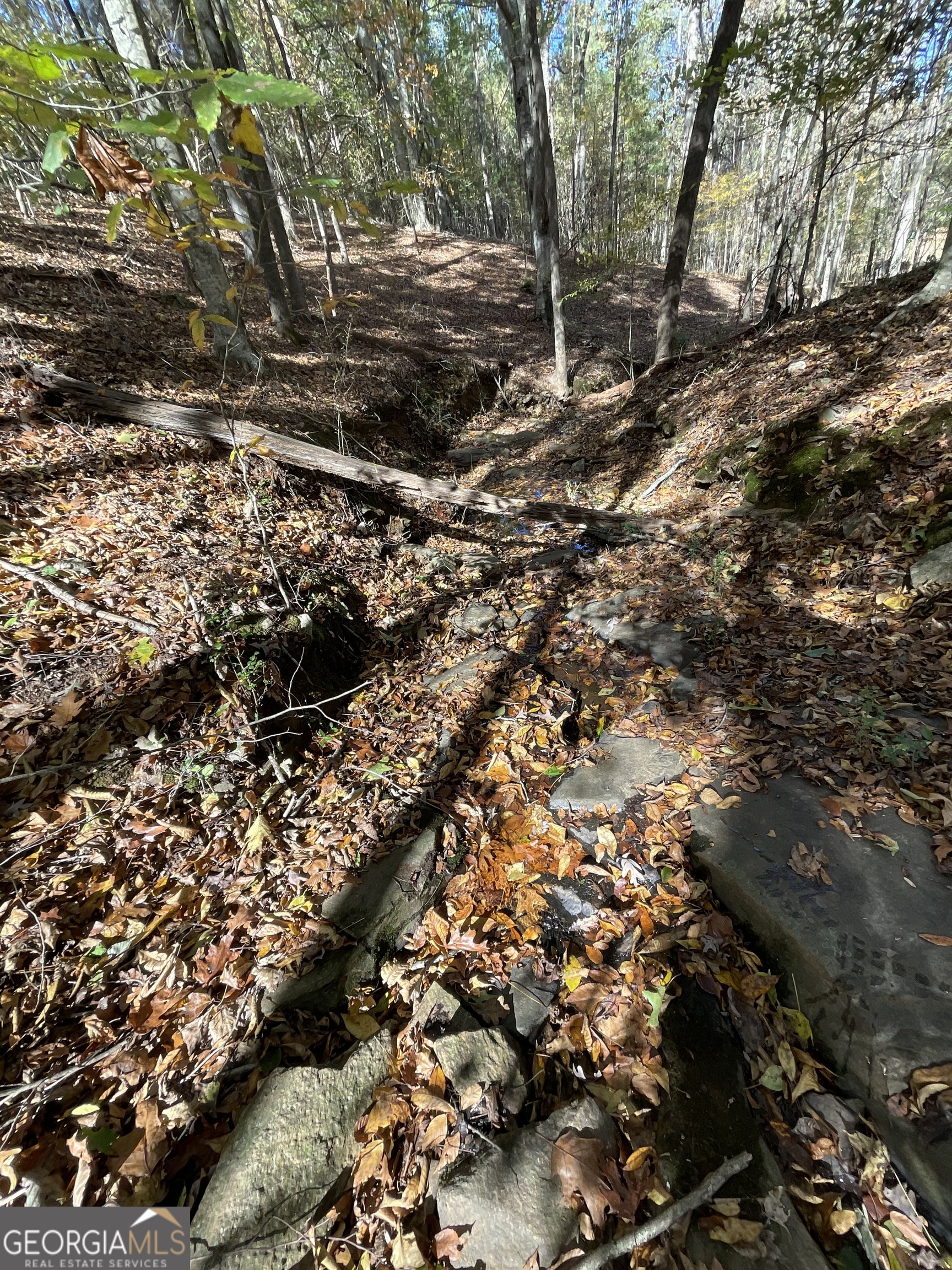 501 Raleigh Road Woodbury, GA 30293 - Photo 54 of 94