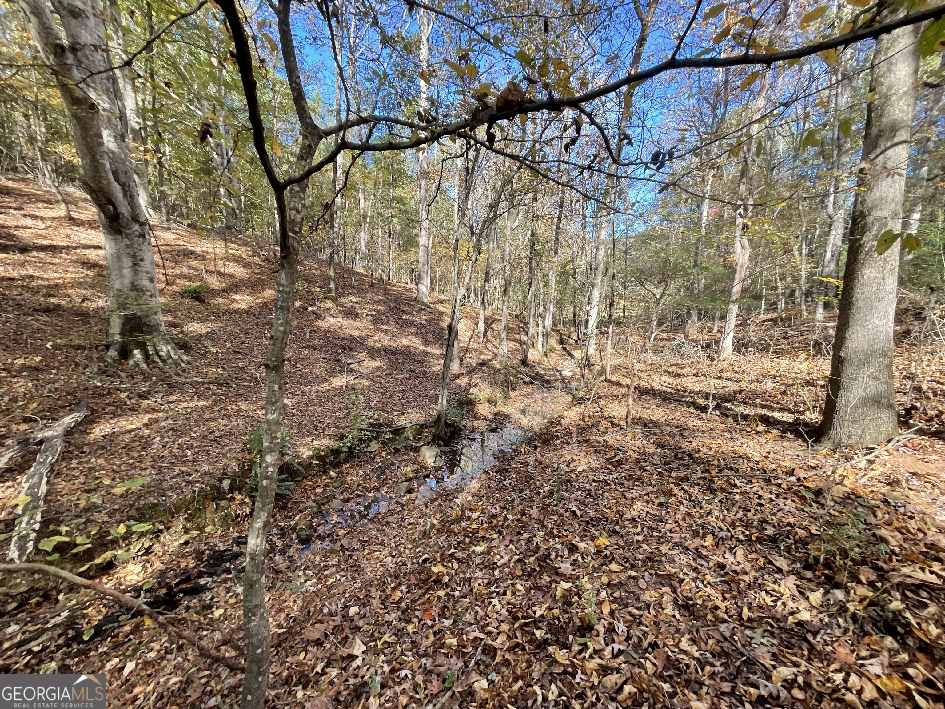 501 Raleigh Road Woodbury, GA 30293 - Photo 55 of 94