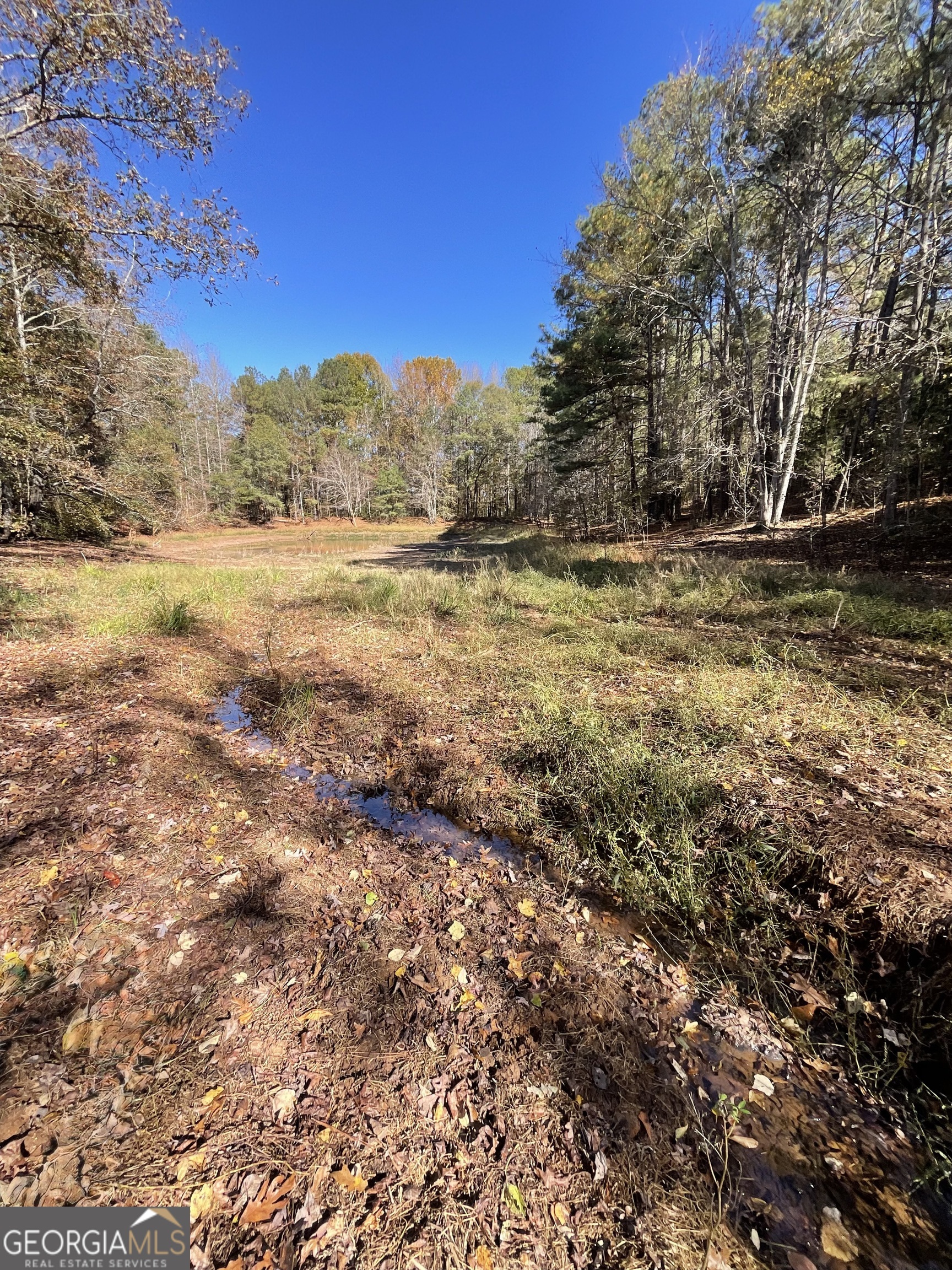 501 Raleigh Road Woodbury, GA 30293 - Photo 57 of 94