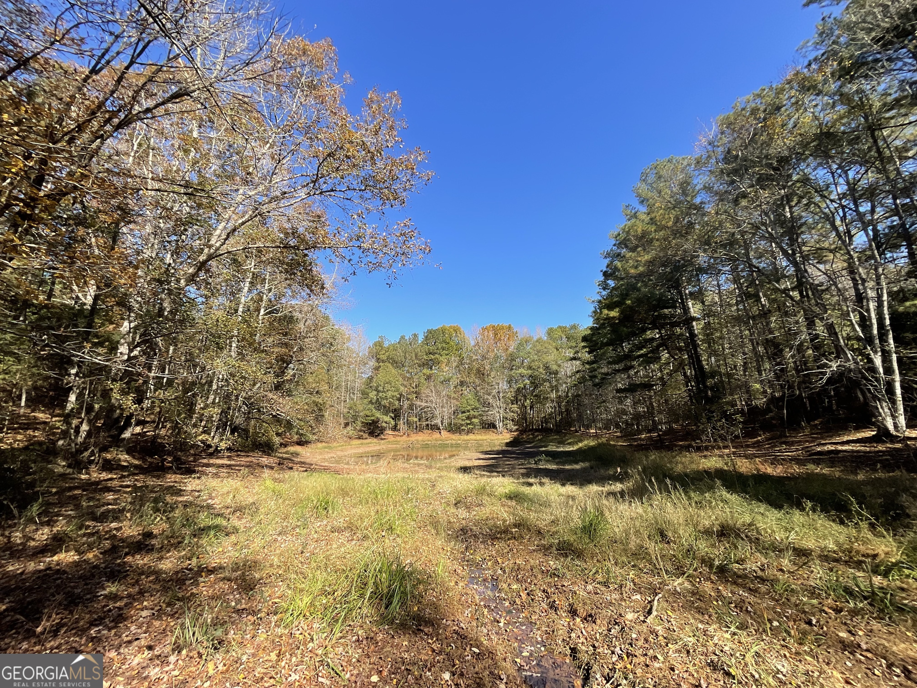 501 Raleigh Road Woodbury, GA 30293 - Photo 58 of 94