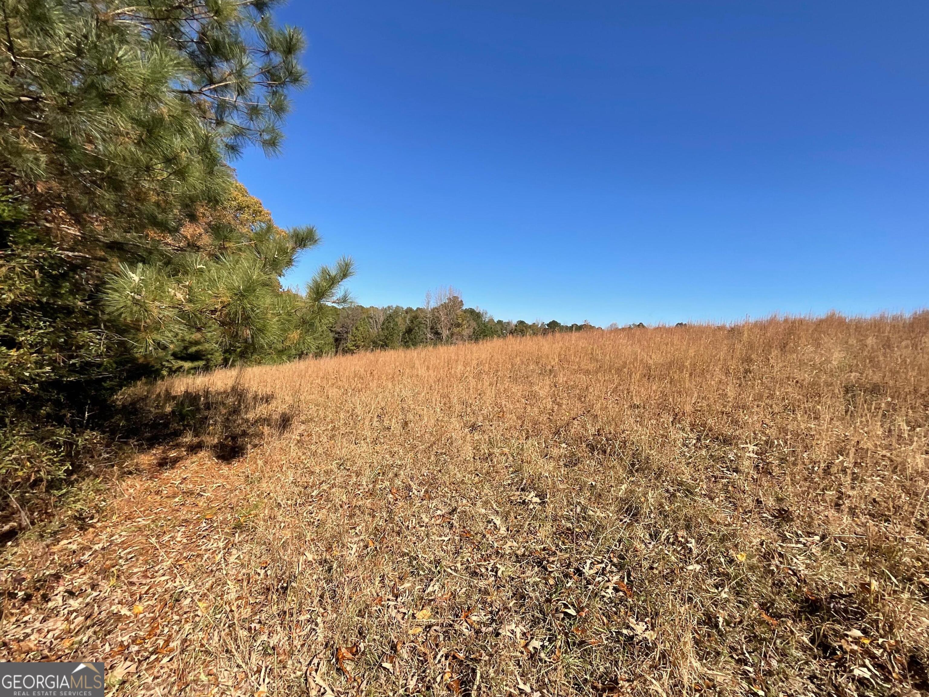 501 Raleigh Road Woodbury, GA 30293 - Photo 64 of 94