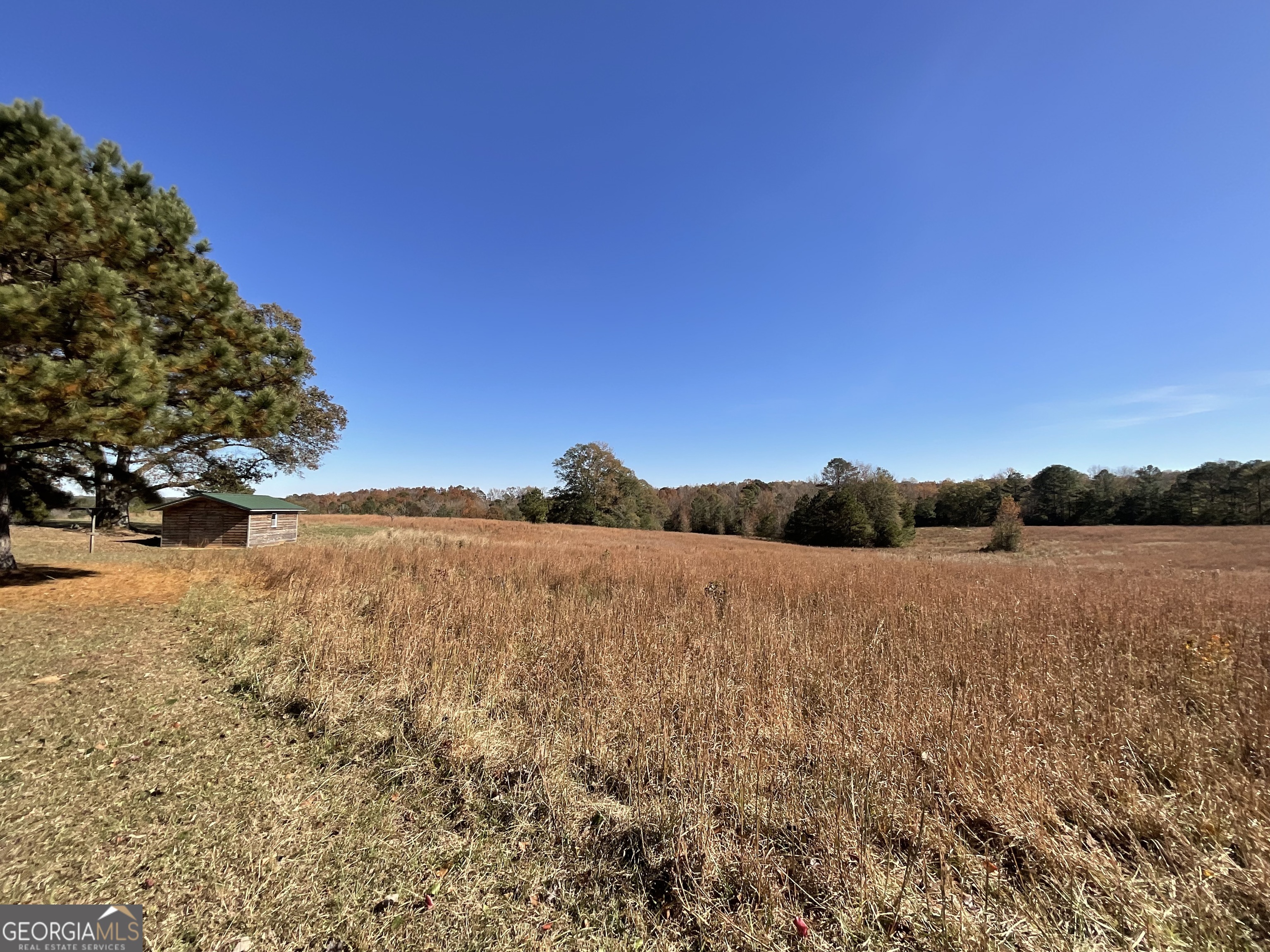 501 Raleigh Road Woodbury, GA 30293 - Photo 74 of 94