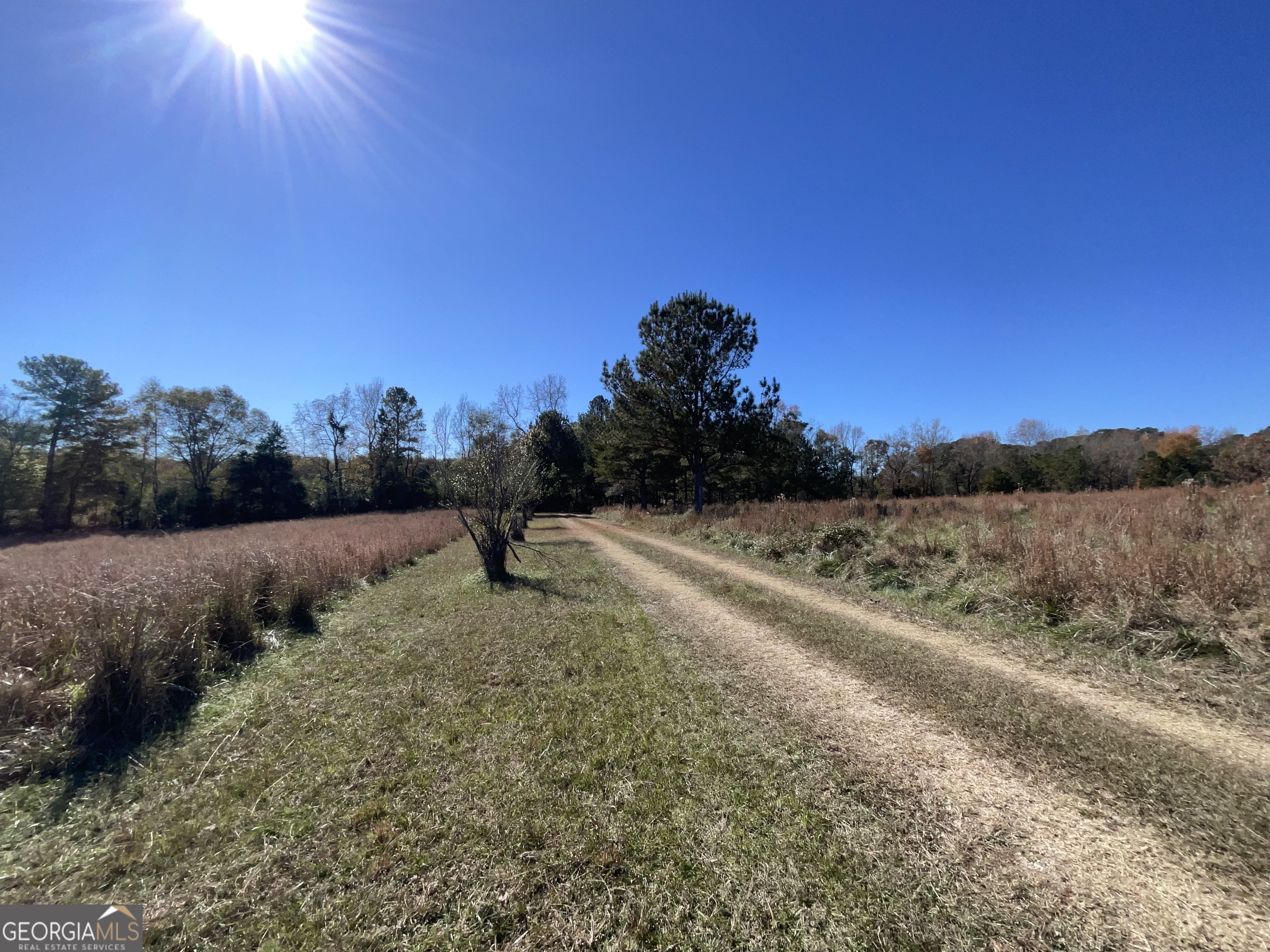 501 Raleigh Road Woodbury, GA 30293 - Photo 8 of 94