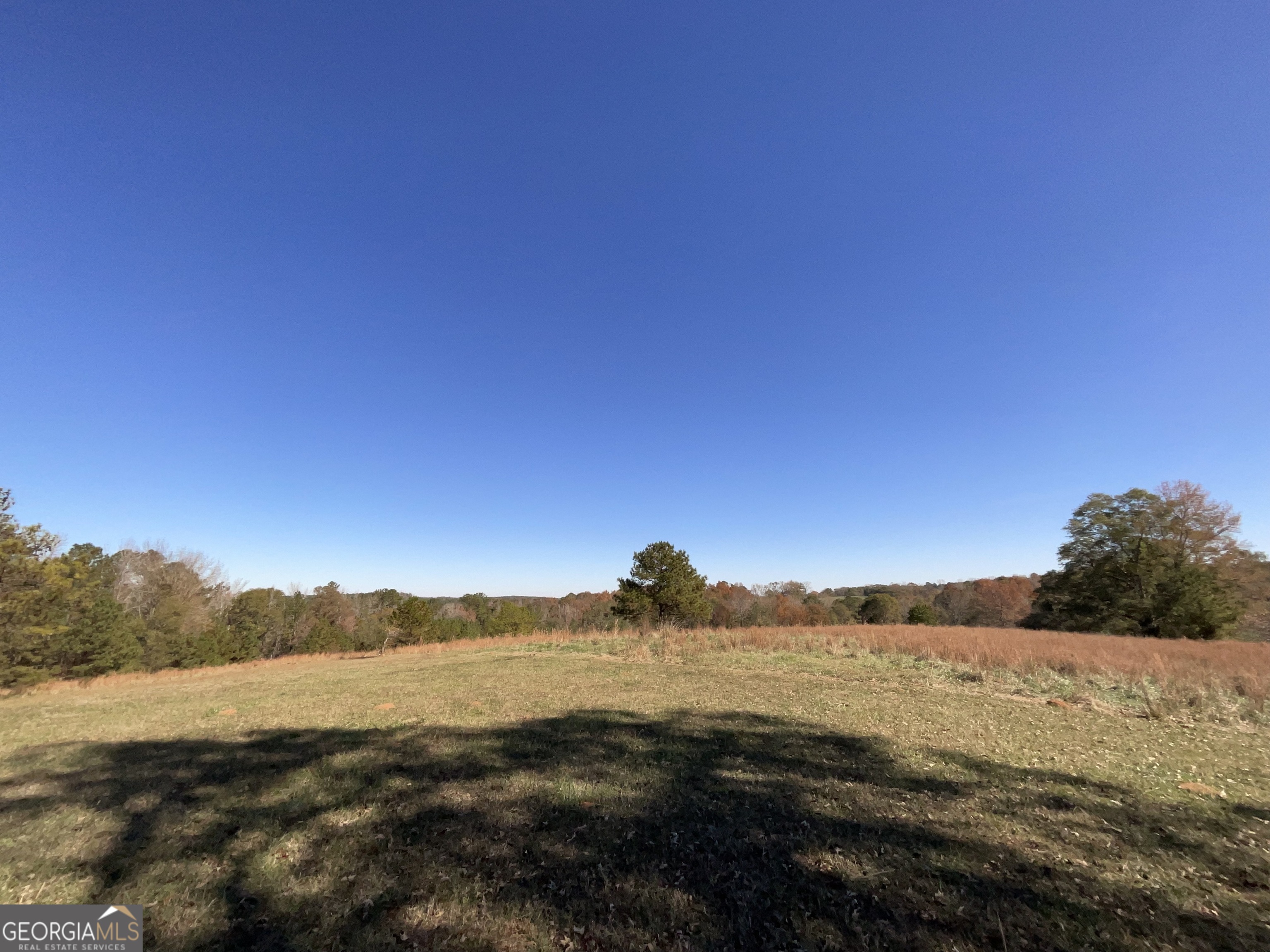 501 Raleigh Road Woodbury, GA 30293 - Photo 87 of 94