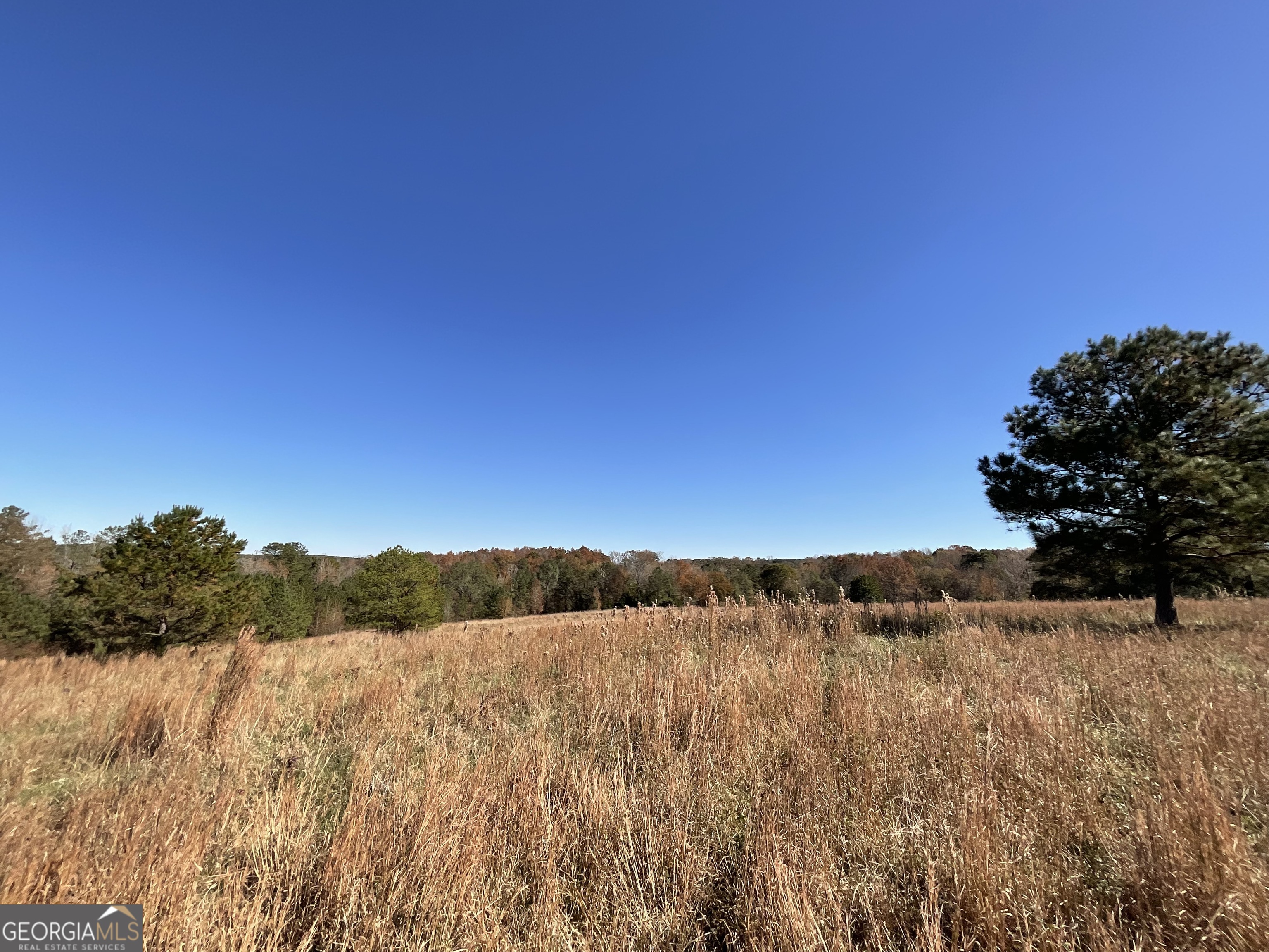 501 Raleigh Road Woodbury, GA 30293 - Photo 92 of 94