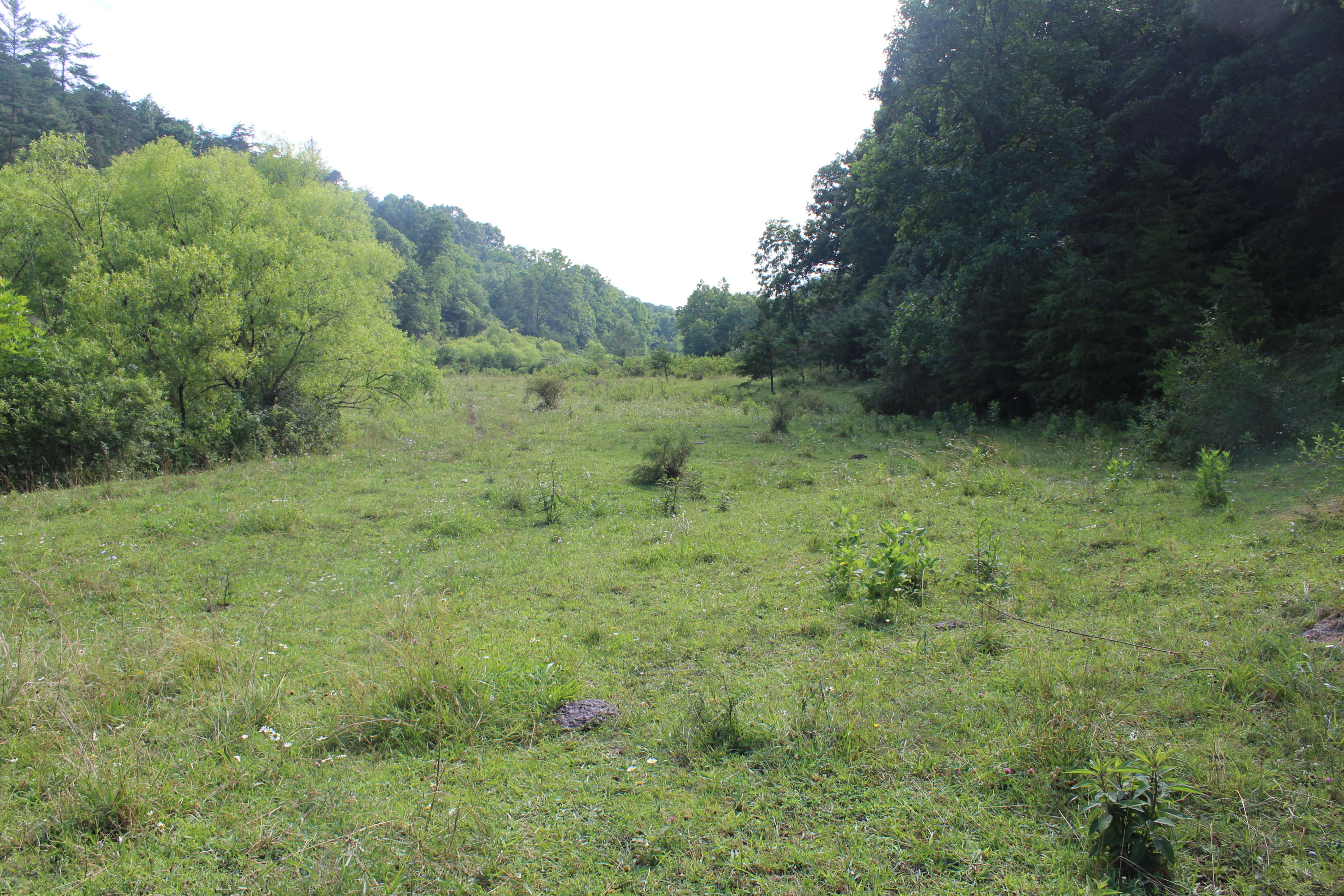 Bradshaw Run Road Forest Hill, WV 24935 - Photo 20 of 22 Gallery Image 20