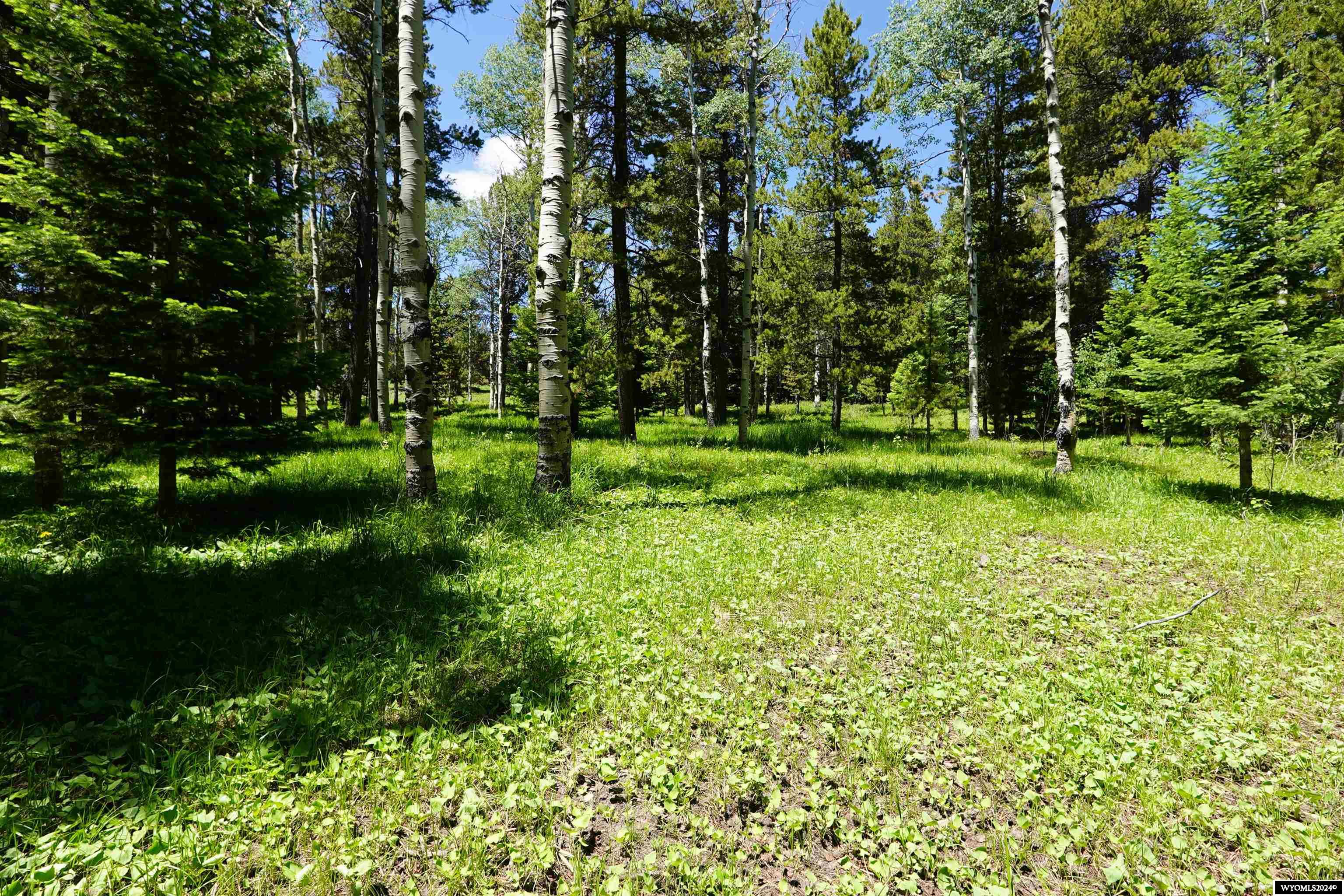 Lot 20 Hummingbird Hollow Casper, WY 82601 - Photo 1 of 8