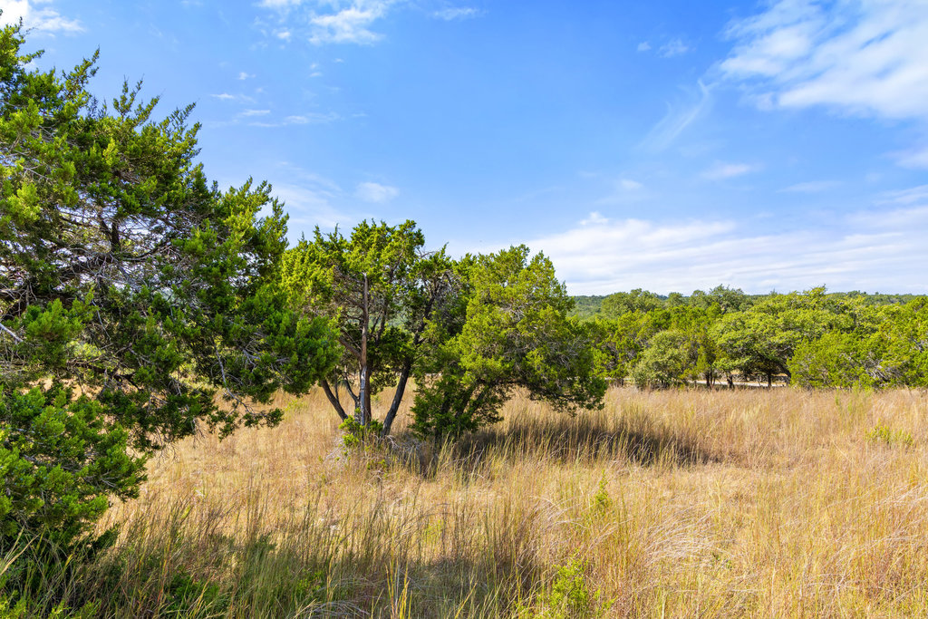 5818 Ranch Road 165 Blanco, TX 78606 - Photo 19 of 31
