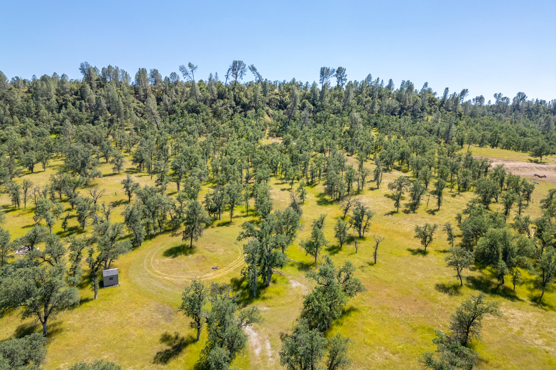 0 Racoon Way Oak Run, CA 96069 - Photo 8 of 39 Racoon004