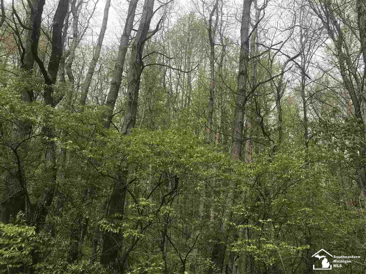0 Bunton Road Milan, MI 48160 - Photo 19 of 22
