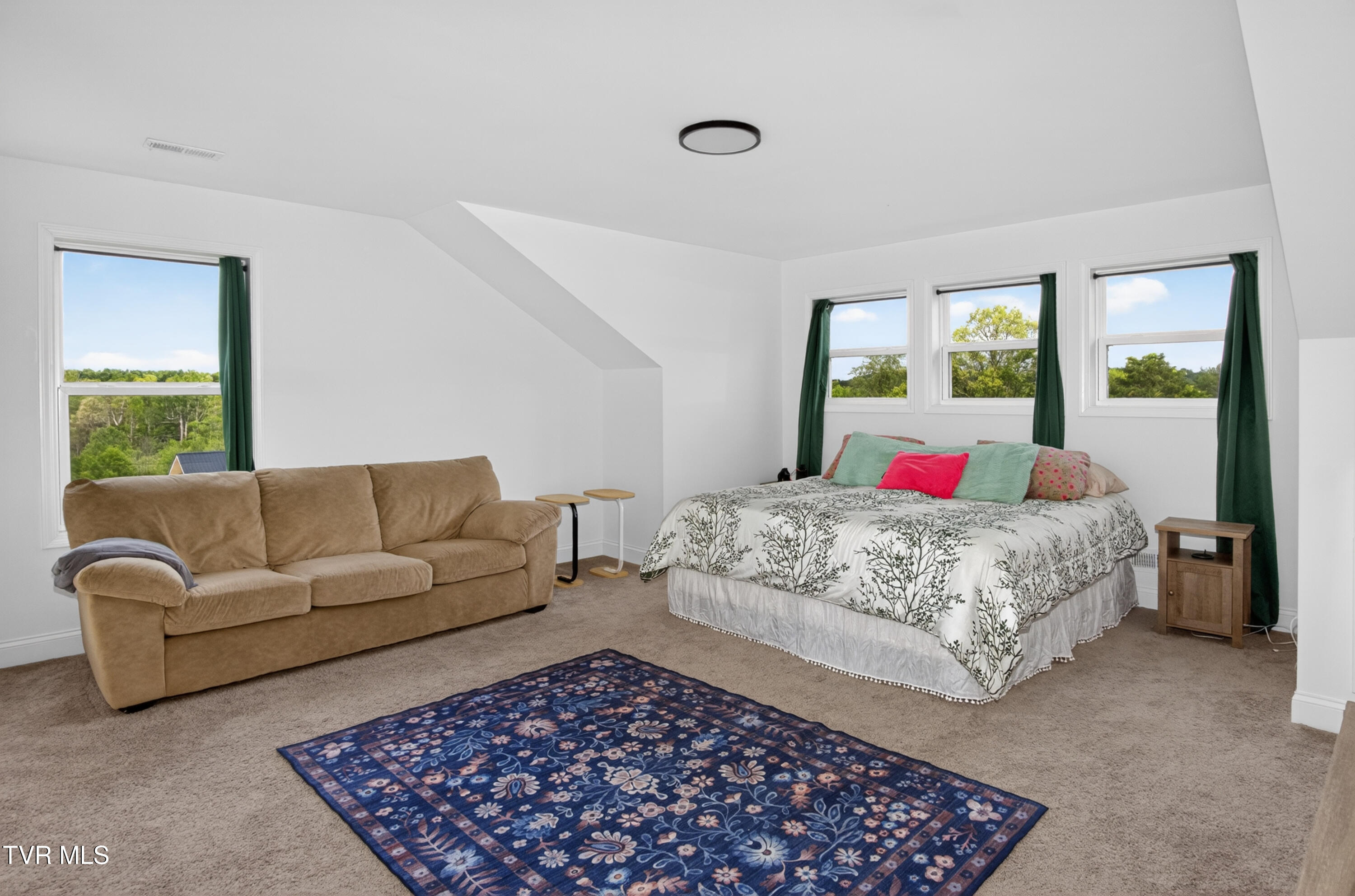 105 Woolsey College Road Greeneville, TN 37743 - Photo 42 of 78 054_DSC05942