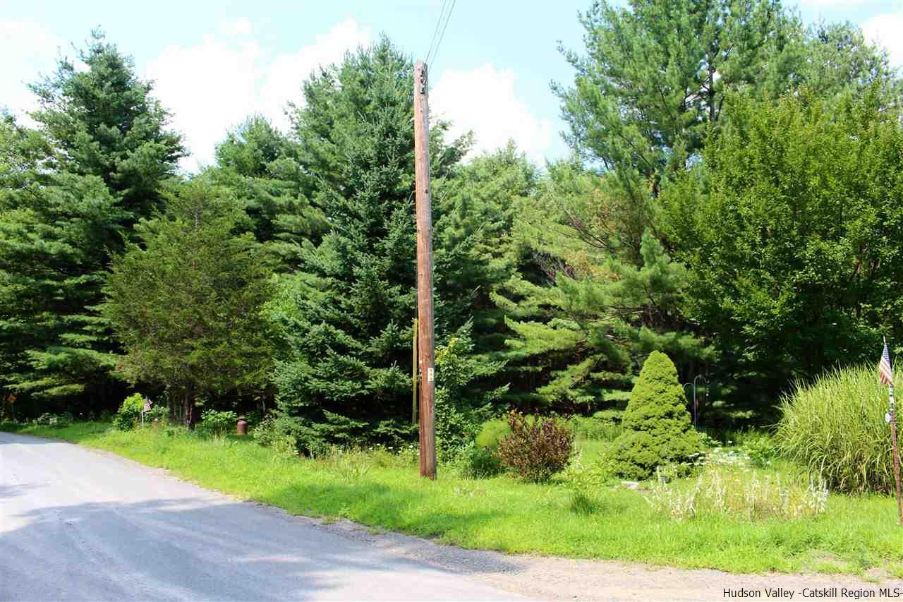 Tbd Tbd Etheline Road, Unit ROCKY MOUNTAIN ROAD Kerhonkson, NY 12446 - Photo 1 of 22 Photo 1