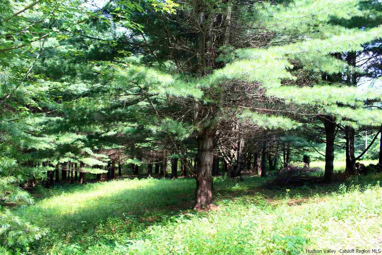 Tbd Tbd Etheline Road, Unit ROCKY MOUNTAIN ROAD Kerhonkson, NY 12446 - Photo 11 of 22 Photo 11