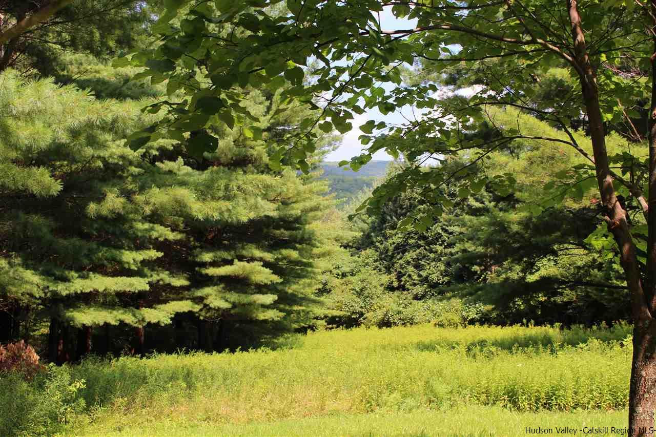 Tbd Tbd Etheline Road, Unit ROCKY MOUNTAIN ROAD Kerhonkson, NY 12446 - Photo 13 of 22 Photo 13