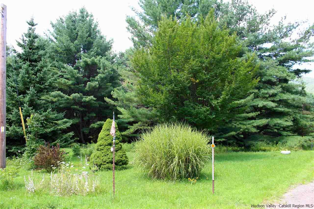 Tbd Tbd Etheline Road, Unit ROCKY MOUNTAIN ROAD Kerhonkson, NY 12446 - Photo 14 of 22 Photo 14