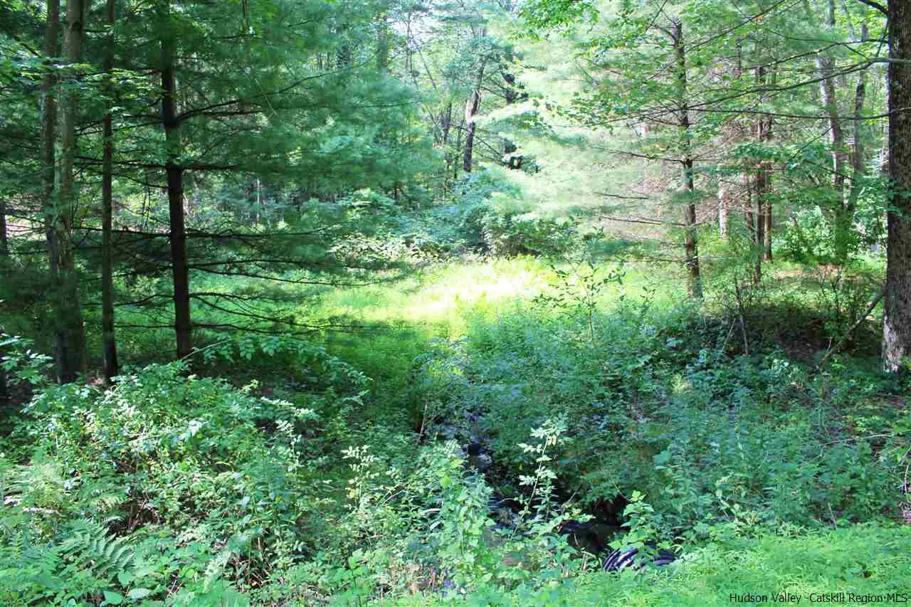 Tbd Tbd Etheline Road, Unit ROCKY MOUNTAIN ROAD Kerhonkson, NY 12446 - Photo 18 of 22 Photo 18
