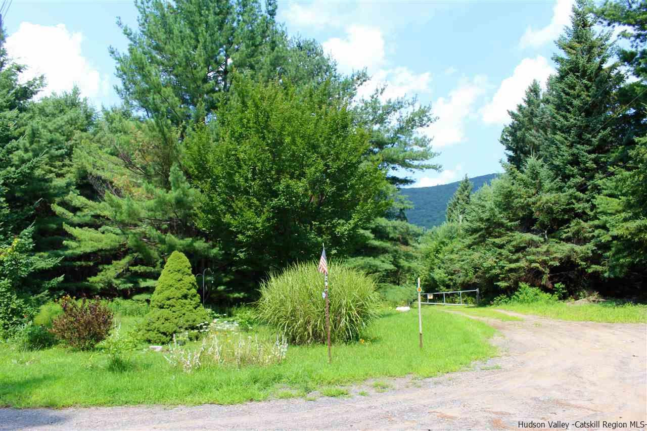 Tbd Tbd Etheline Road, Unit ROCKY MOUNTAIN ROAD Kerhonkson, NY 12446 - Photo 2 of 22 Photo 2