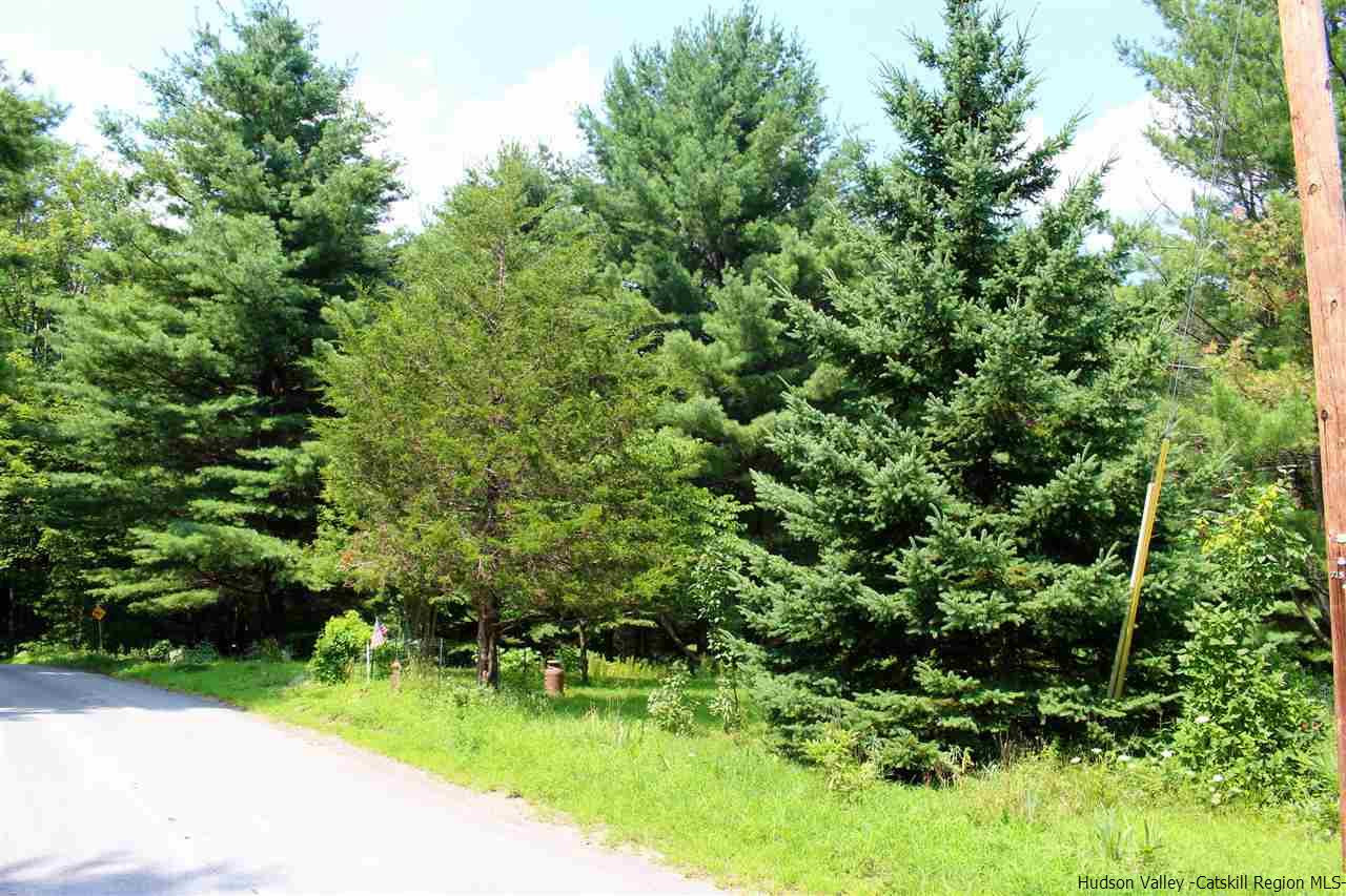 Tbd Tbd Etheline Road, Unit ROCKY MOUNTAIN ROAD Kerhonkson, NY 12446 - Photo 3 of 22 Photo 3