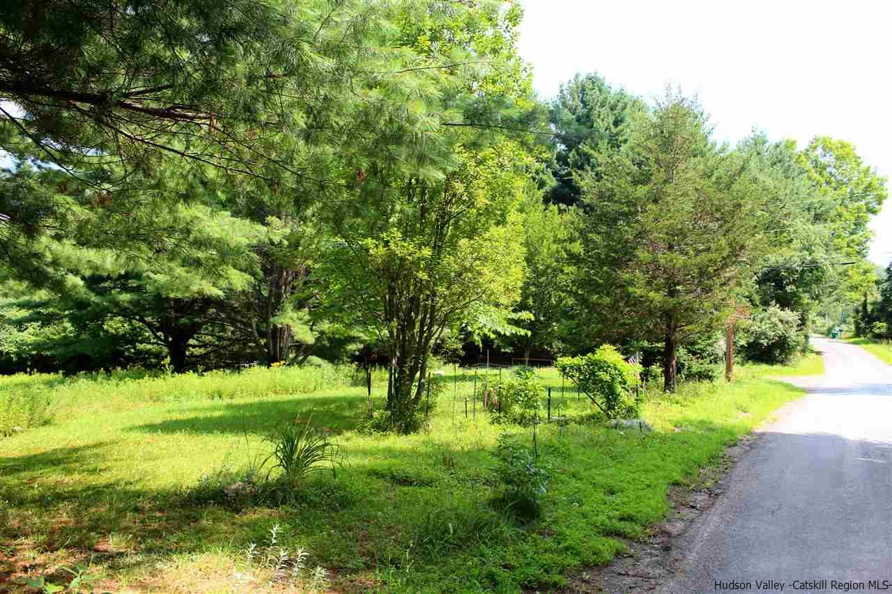 Tbd Tbd Etheline Road, Unit ROCKY MOUNTAIN ROAD Kerhonkson, NY 12446 - Photo 4 of 22 Photo 4
