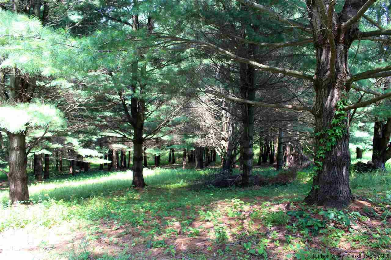 Tbd Tbd Etheline Road, Unit ROCKY MOUNTAIN ROAD Kerhonkson, NY 12446 - Photo 5 of 22 Photo 5